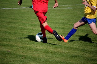 中国米兰体育-中国足球年度训练项目与技战术实战匹配,中国足球队战术